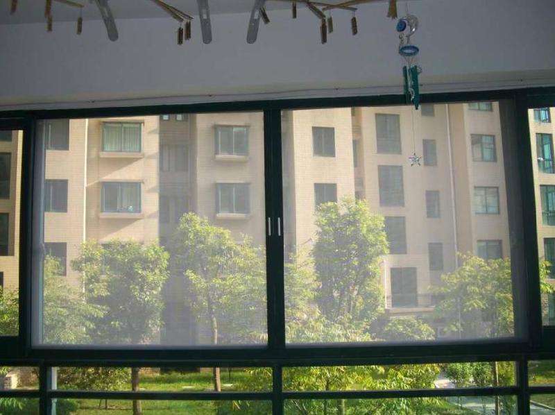 timg (10).jpg timg (10).jpg